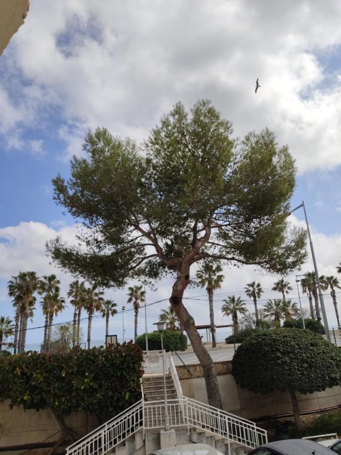 Apartamento Mare Nostrum Playa Arrabassada Tarragona Exterior photo